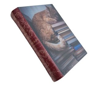 Cat Nap 1000 Piece Jigsaw Puzzle Gibbs Smith Library Books 27.5 x 19.5 SEALED